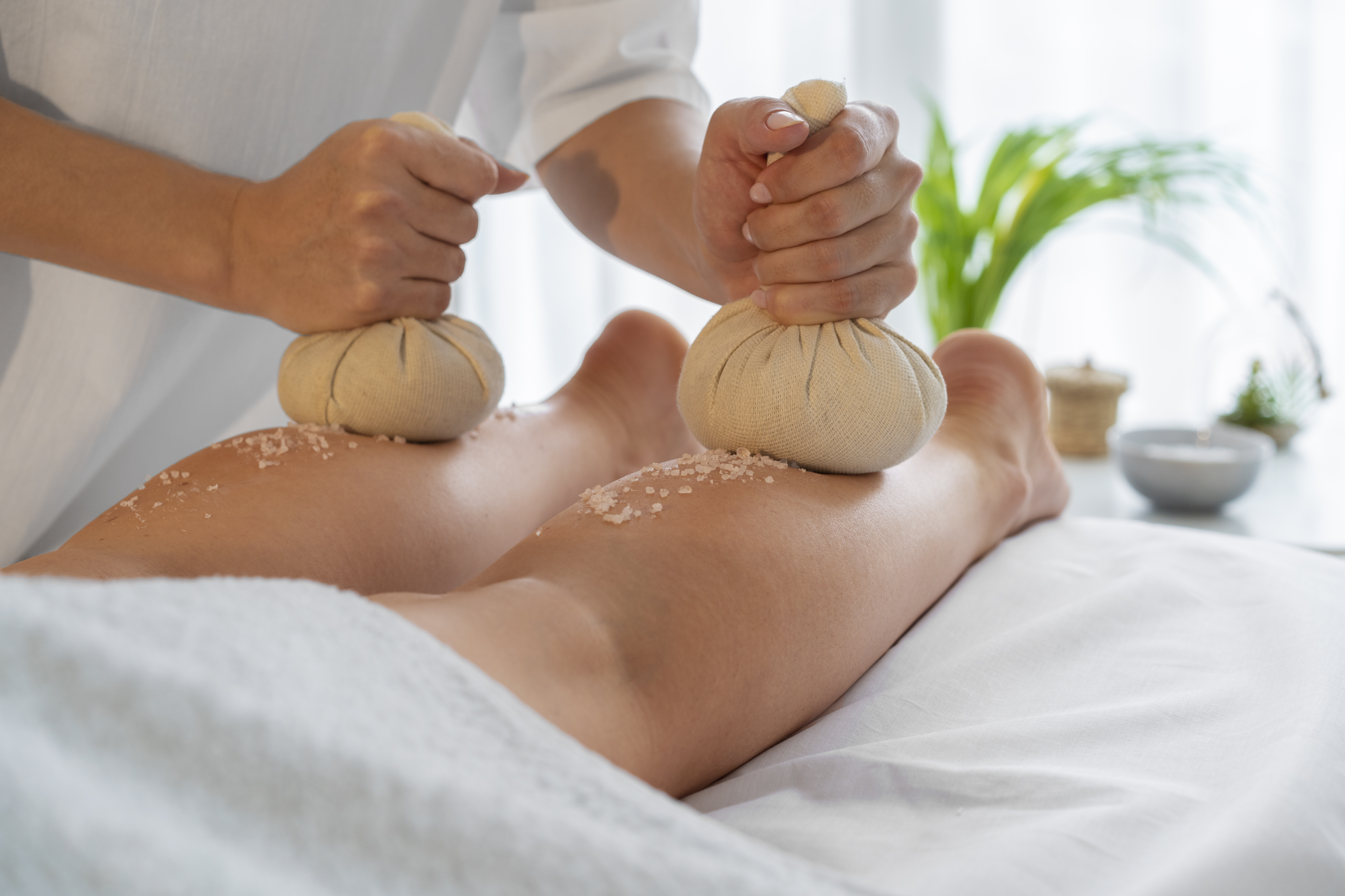 Ayurvedic Rejuvenation Therapy